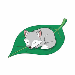 Cute gray cartoon fox sleeping peacefully on a large green leaf.