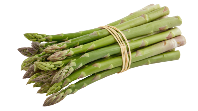Fresh asparagus spears tied together, ready to cook for healthy eating benefits