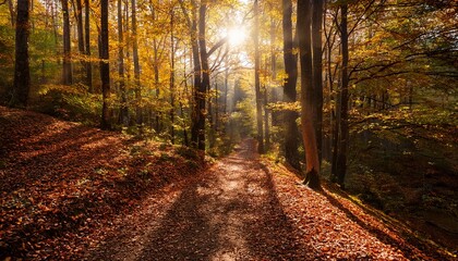 Fototapeta premium Peaceful Forest Trail In Autumn With Radiant Light And Falling Leaves