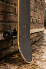 skateboard in a park in autumn © Jimmy