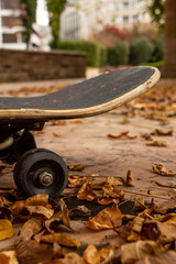 skateboard on an autumn day © Jimmy