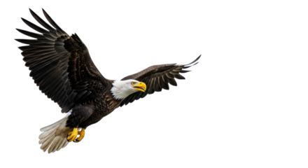 Majestic bald eagle soaring dynamically, powerful dark brown wings, white head/tail, yellow beak/talons, gaze right creating copy space, on transparent background. Concept of leadership and