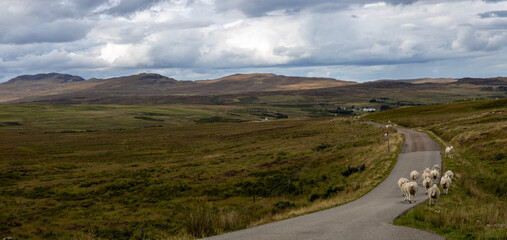 Remote and desolated moors of norther Scotland with its heather, rivers, lakes and mountain ranges offer unforgettable experience of being completely alone, lost in the vast and eerie quiet landscape.