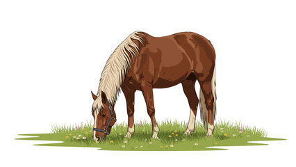 Horse grazing in meadow, brown coat with white mane, green grass  