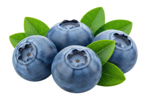 Four ripe, plump blueberries with vibrant green leaves, isolated on transparent background, soft diffused studio lighting, lifelike accuracy, concept of natural health and wholesome nutrition