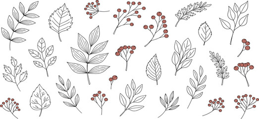 Elegant Botanical Line Art Collection of Leaves and Berries for Design and Decoration Elements