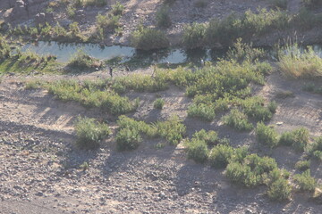 Fint near Ouarzazate, Morocco