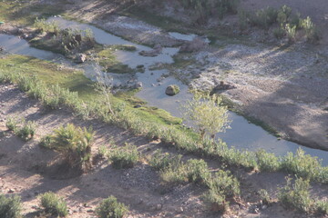 Fint near Ouarzazate, Morocco