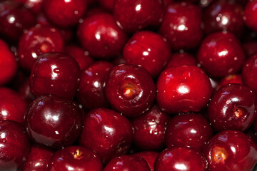 background of large ripe cherries. A large collection of fresh red cherries. Close-up of juicy berries, harvest season. Good harvest in the garden. healthy food, lots of vitamins, diet, vegetarianism