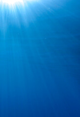 Fototapeta premium bubbles, bubble, water, underwater, sea, air, deep, undersea, under, background, wave, liquid, clear, clean, ocean, nature, texture, oxygen, blue, white, effect, transparent, foam, aquarium, aqua.