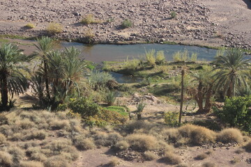 Fint near Ouarzazate, Morocco