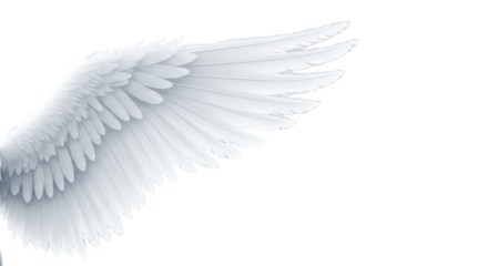 transparent feathered wings, intricate textures, graceful forms, elegantly poised in a minimalist, blurred corporate setting, symbolizing visionary progress