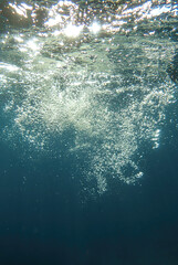 bubbles, bubble, water, underwater, sea, air, deep, undersea, under, background, wave, liquid, clear, clean, ocean, nature, texture, oxygen, blue, white, effect, transparent, foam, aquarium, aqua.