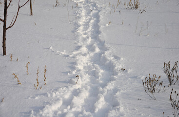 footprints in deep white snow