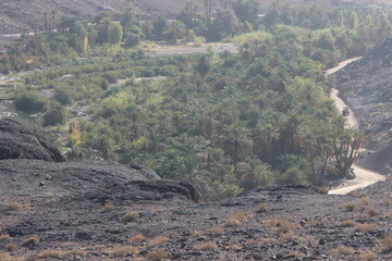 Fint near Ouarzazate, Morocco