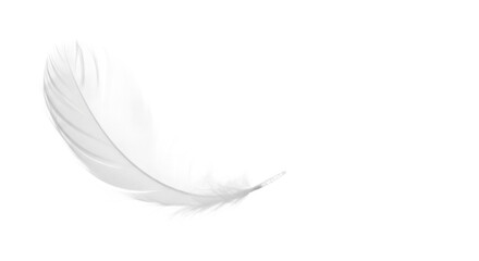 transparent feather, perfectly formed with soft, wispy barbs, floating delicately against an ethereal white background with high-key studio lighting, conveying tranquil simplicity