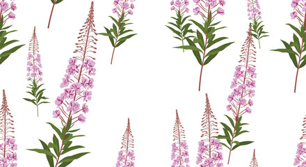 A delicate and airy seamless pattern of pink fireweed flowers also known as rosebay willowherb on a fresh white background.