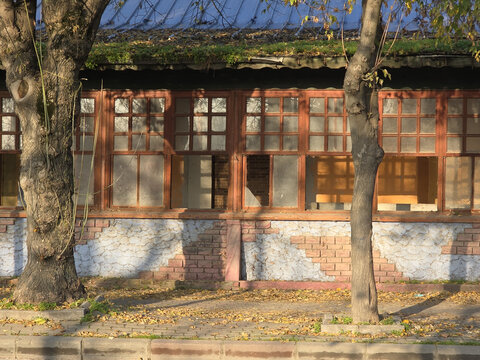 View of sunlight streaming through dilapidated window frames, casting shadows on a weathered brick and stucco wall, flanked by bare trees, Edirne, Edirne, Turkey.
