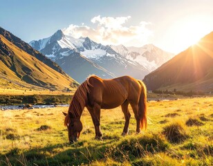 A solitary brown horse grazes in a sunlit alpine meadow beneath majestic snow-capped mountains during sunset.
