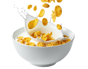 A white bowl filled with milk, golden cereal and splashing action. Food photography
