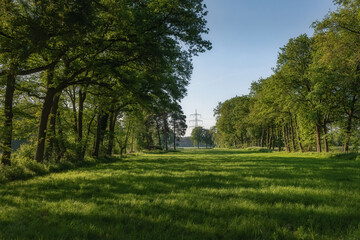 Summertime rural landscape in Germany, outdoor background