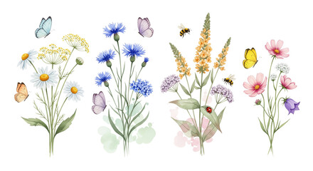 Transparent background illustration featuring butterflies, insects, and various wildflowers painted in watercolor.