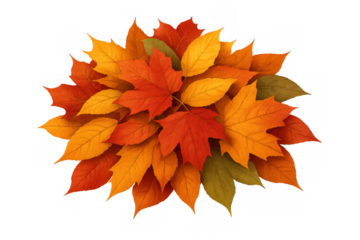 Autumn maple foliage and colorful leaves forming a vibrant fall season background with a transparent backdrop
