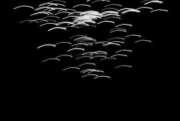 malowane światłem, obraz świetlny z wzorami i kształtami, abstrakcyjna fotografia z poruszającymi się światłami, Blurred Light painting, białe maziaje świetlne, light painting photography, abstarct  © kateej