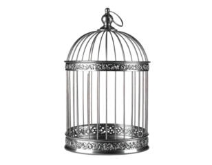 Metallic, ornate bird cage, rendered with intricate details, isolated on a black background