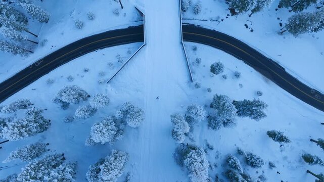 Kindly submit your original text, share initial text for rewriting purposes, please share original draft to be rewritten accordingly, could you kindly provide initial version of text for rewriting