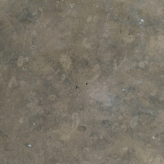 Brown Fossil Limestone Surface Detail