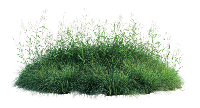 PNG Grassland shrub landscape vegetation plant greenery. - Powered by Adobe