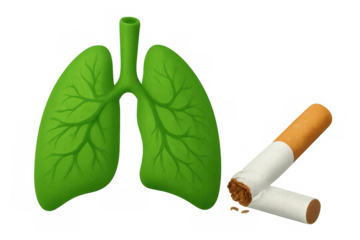 Green lungs with leaf veins and broken cigarette representing quitting smoking and healthy lifestyle