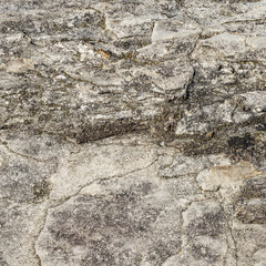 Light Grey Granite with Coarse Surface Detail