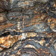 Grey and Amber Layered Gneiss Surface Detail