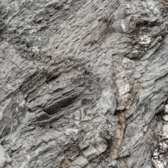Layered Grey Metamorphic Rock Surface Detail