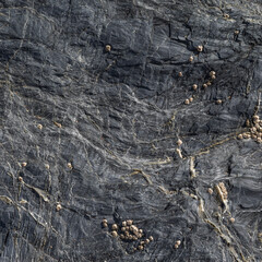 Dark Grey Spiderweb Veined Rock Surface Detail