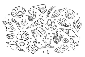 big vector set, seashells, corals, algae, sea sponges, underwater marine life, simple vector black and white icons