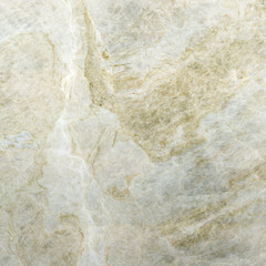 Taj Mahal Quartzite Surface Detail