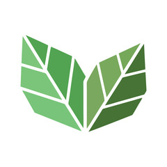 vector green leaf isolated on white