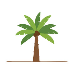 vector palm tree isolated on white background