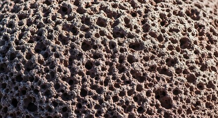 Close-up View of Porous Volcanic Rock A Textured, Natural Background and Earthy Tones