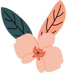 orchid flower with leaves, orchid plantIllustration of SPA and wellness concept. For beauty treatment and self-care.
.