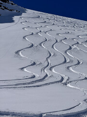 Freshly carved ski tracks on a pristine powder snow slope in the Swiss Alps, capturing the beauty of winter mountains and untouched terrain.