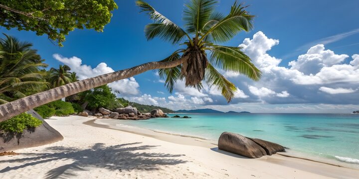 Tropical beach with leaning palm tree and turquoise ocean under blue sky - Powered by Adobe