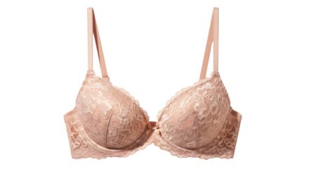 Delicate lace brassiere for everyday comfort and refined elegance, enhancing the feminine silhouette with soft support and intricate design