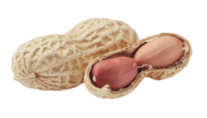 A close-up shows a peanut in its textured shell, with a visible reddish-brown seed, partially opened pod, isolated on a neutral background