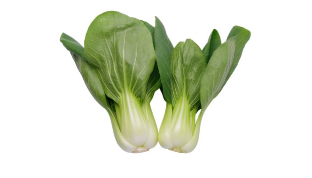 Two bok choy vegetables with green leaves and white stems, arranged closely together on a white background. product shot isolated
