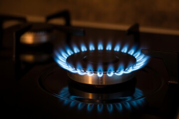 Kitchen Gas Burner with Blue Flames Energy and Cooking Equipment for Food Preparation and Culinary Arts