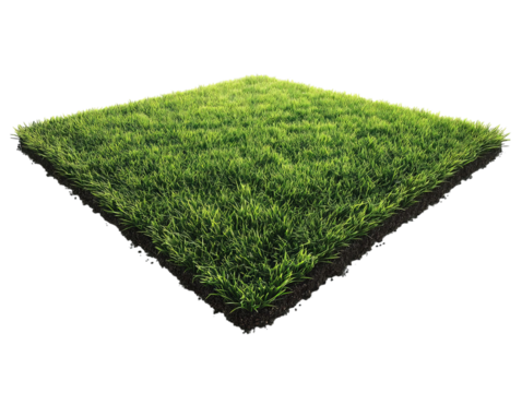 PNG of Lush green grass patch isolated on a white background, showcasing vibrant colors and a healthy texture.